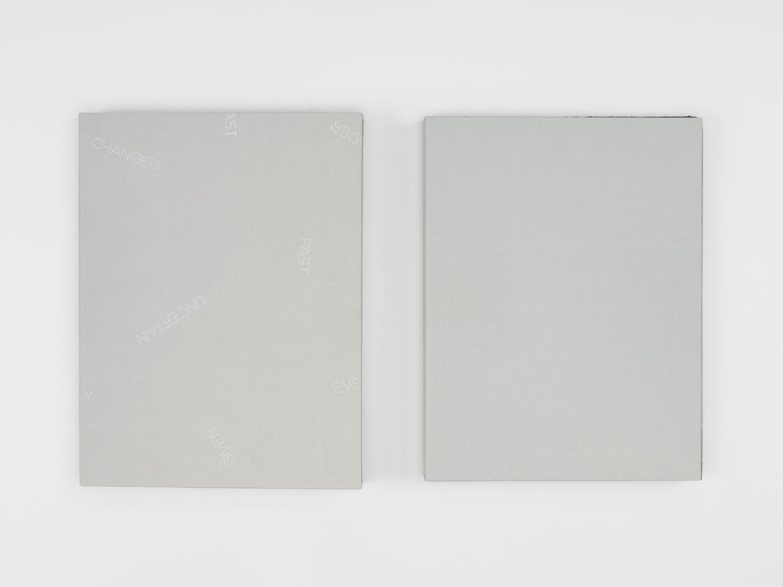 Robert Barry & Jean-Claude Lebensztejn - Musings from my Leisures