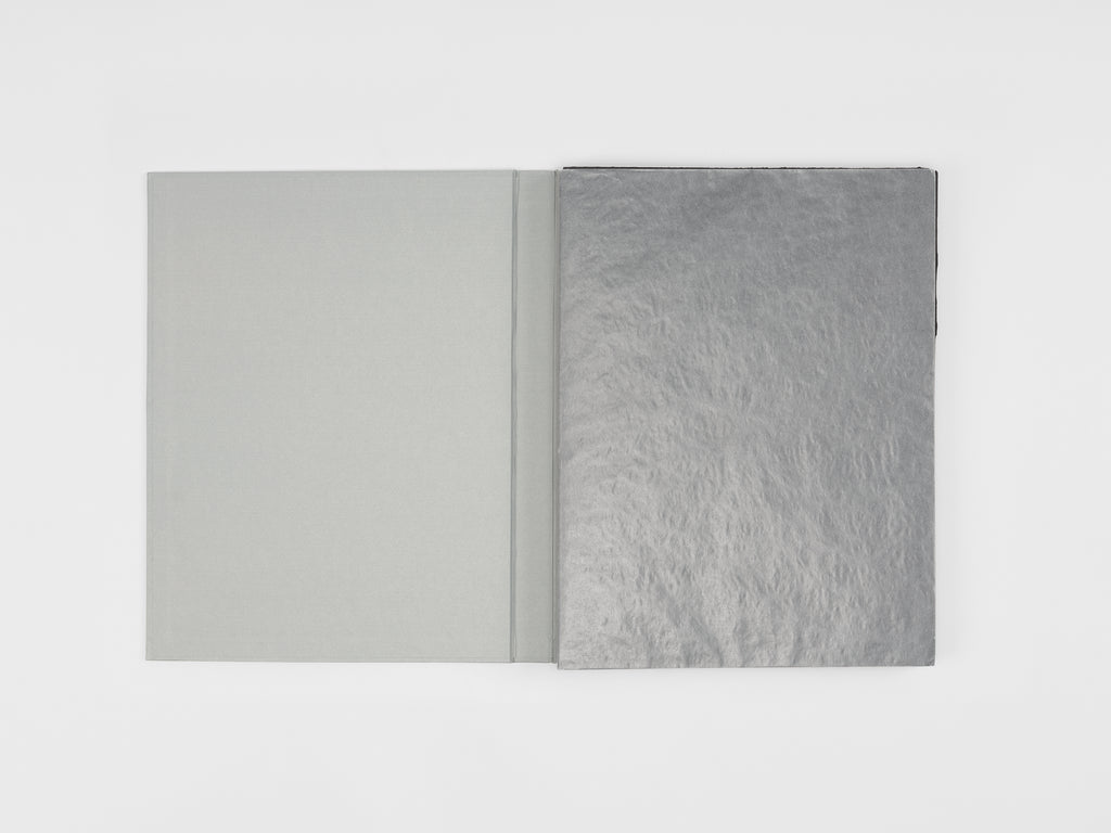 Robert Barry & Jean-Claude Lebensztejn - Musings from my Leisures