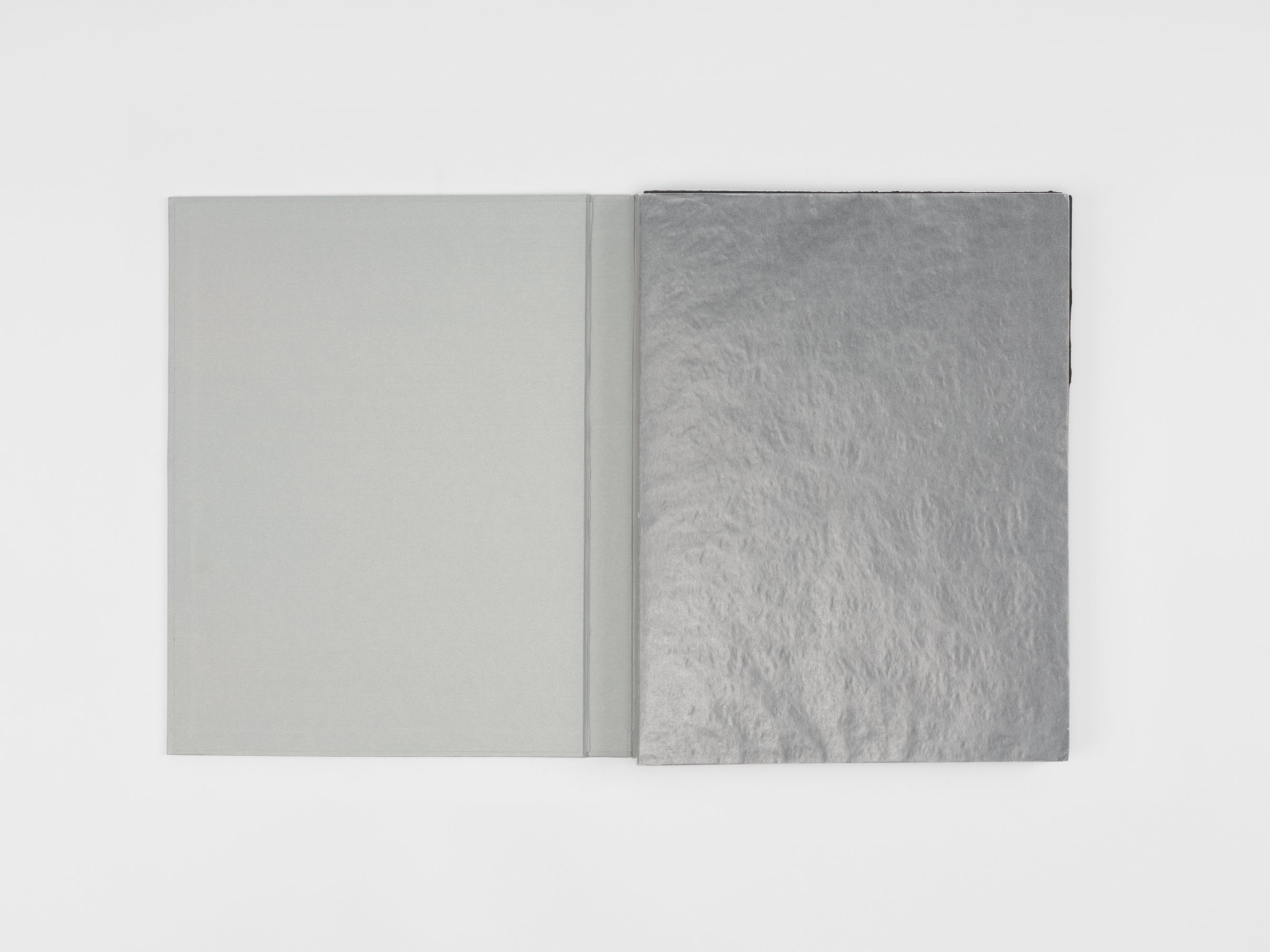 Robert Barry & Jean-Claude Lebensztejn - Musings from my Leisures