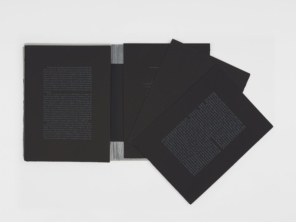 Robert Barry & Jean-Claude Lebensztejn - Musings from my Leisures