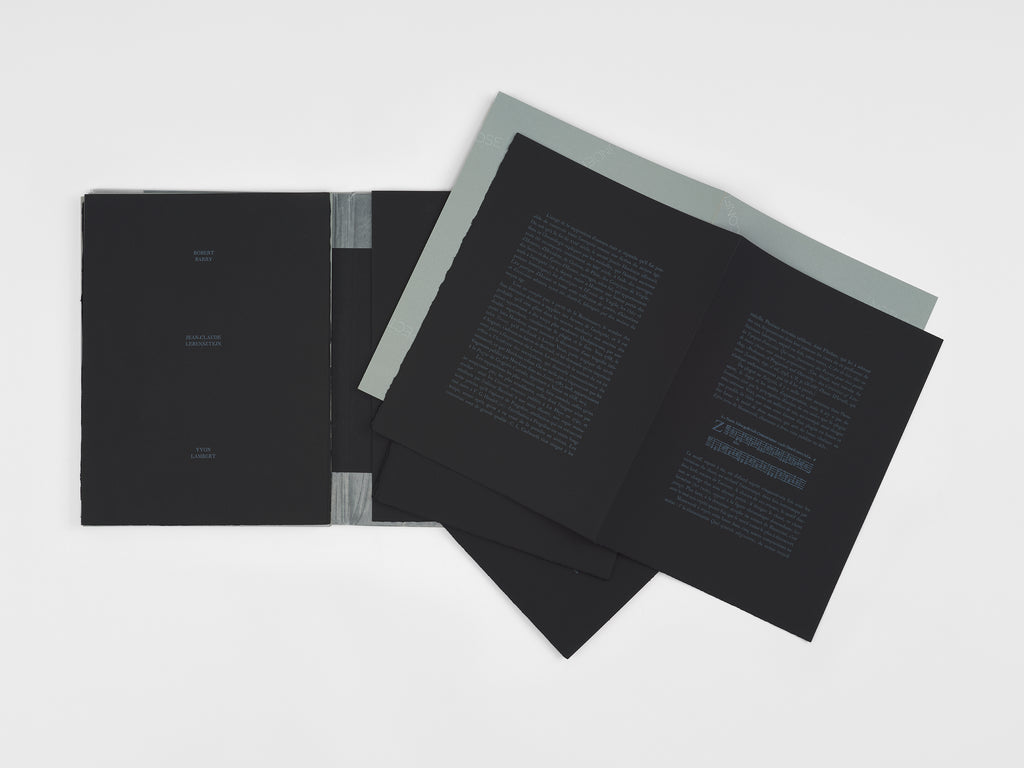 Robert Barry & Jean-Claude Lebensztejn - Musings from my Leisures