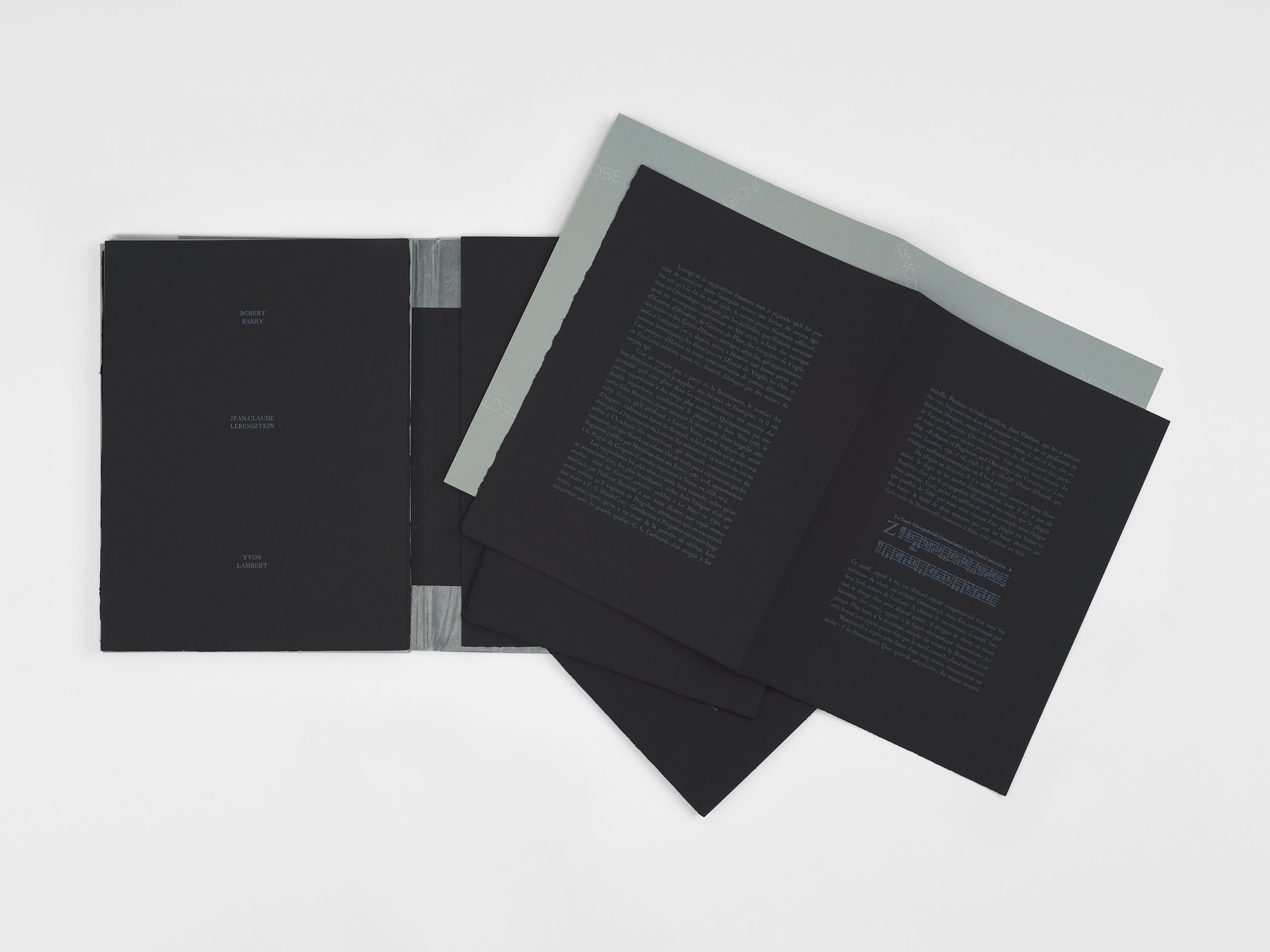 Robert Barry & Jean-Claude Lebensztejn - Musings from my Leisures