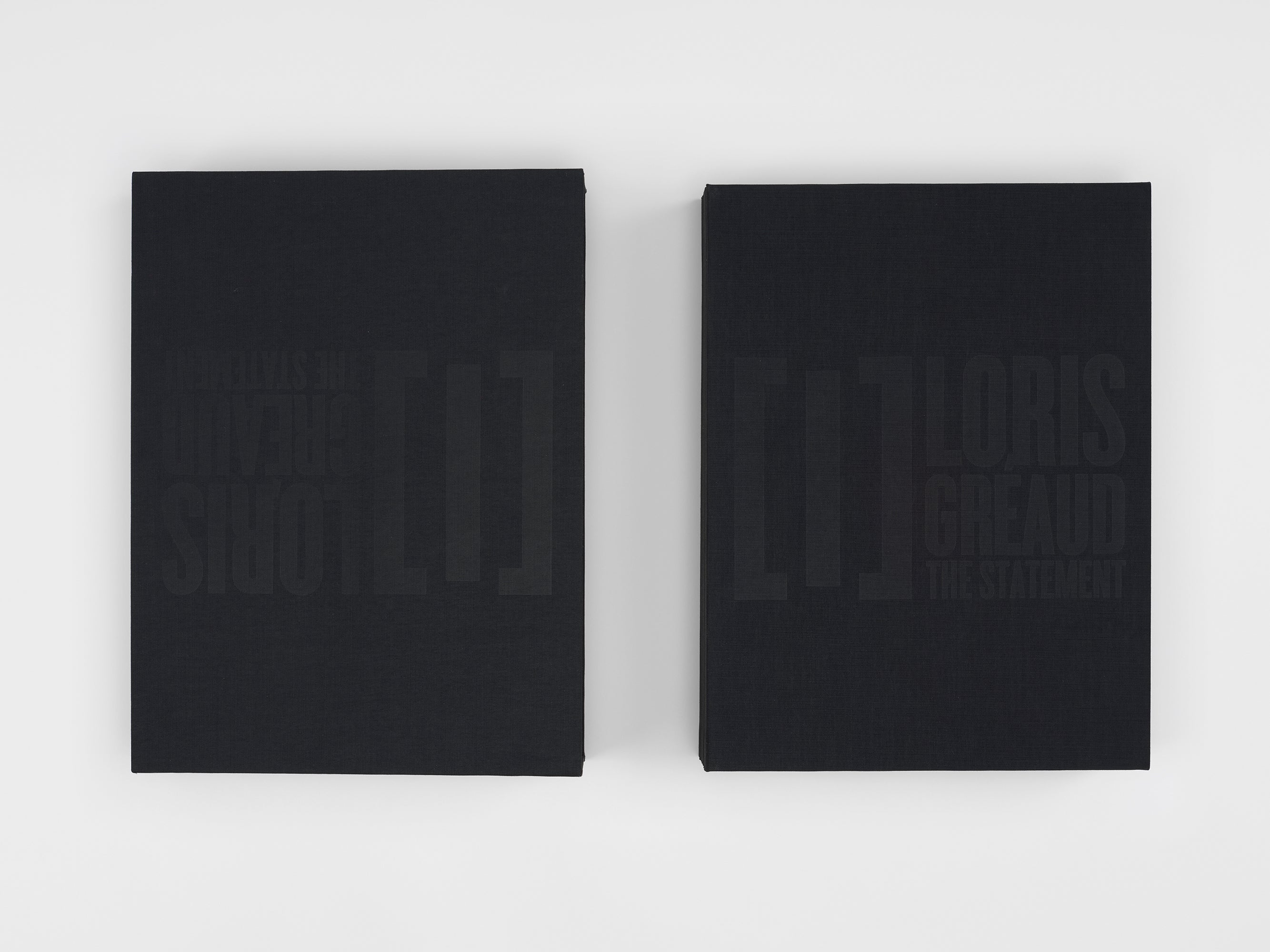 Loris Gréaud - [I] THE STATEMENT