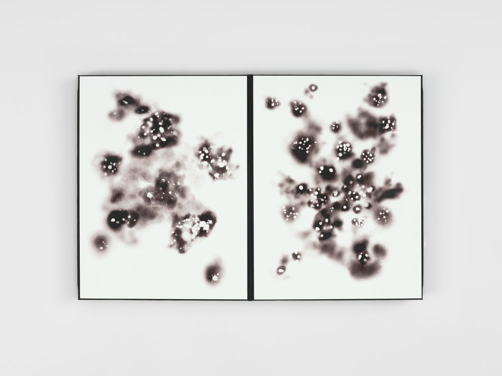 Loris Gréaud - [I] THE STATEMENT