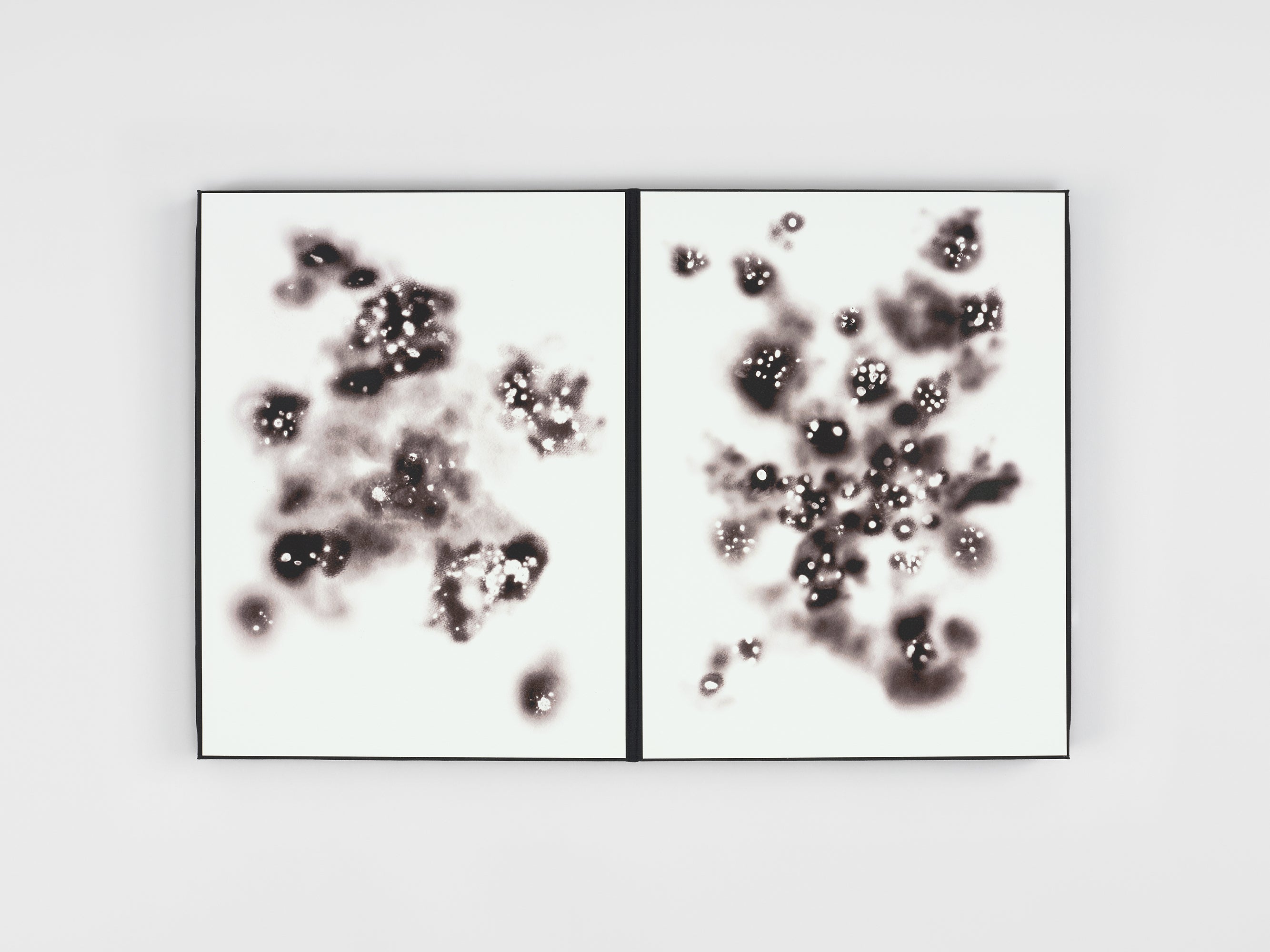 Loris Gréaud - [I] THE STATEMENT