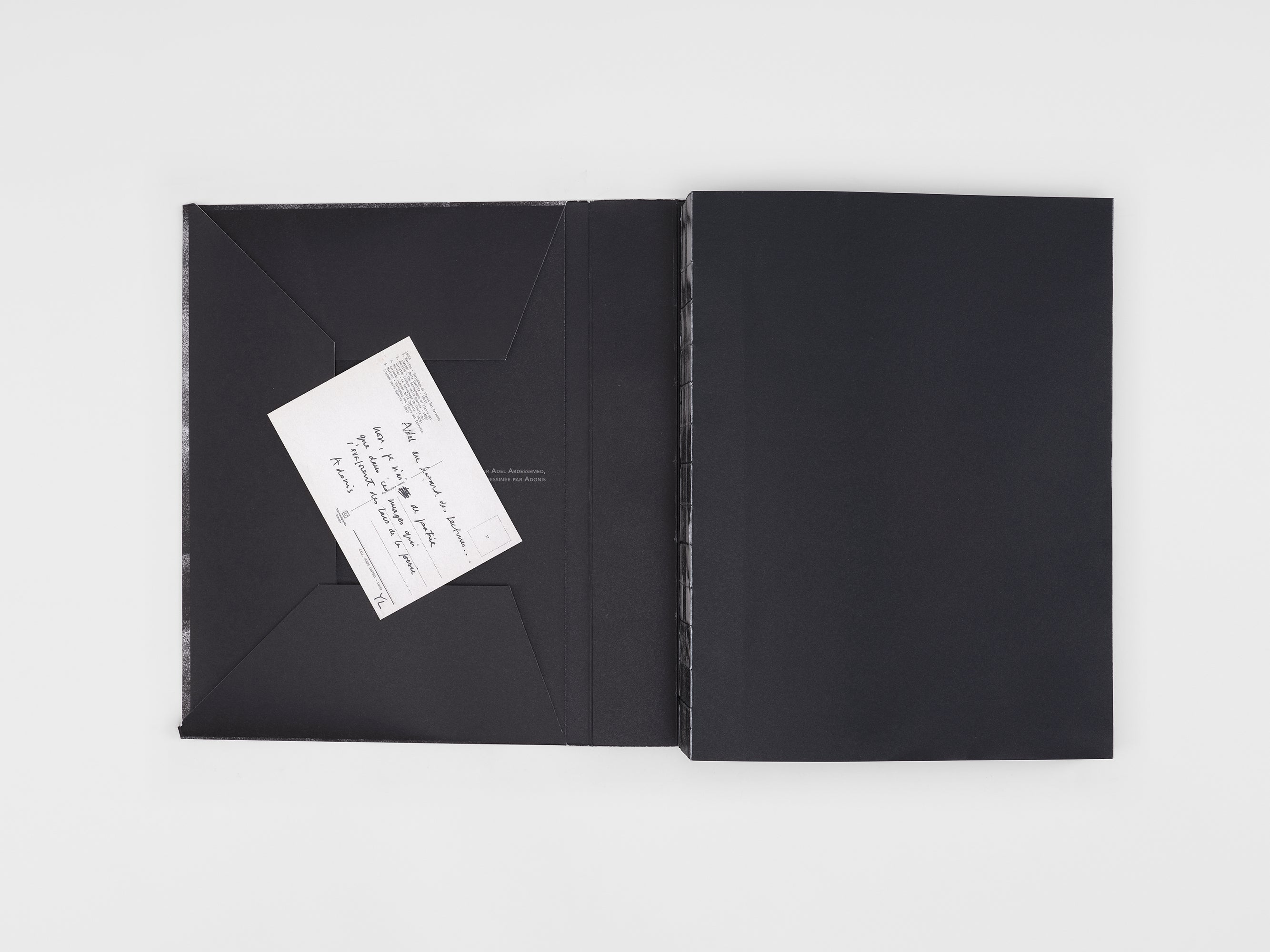 Adel Abdessemed & Adonis - Le livre de AA