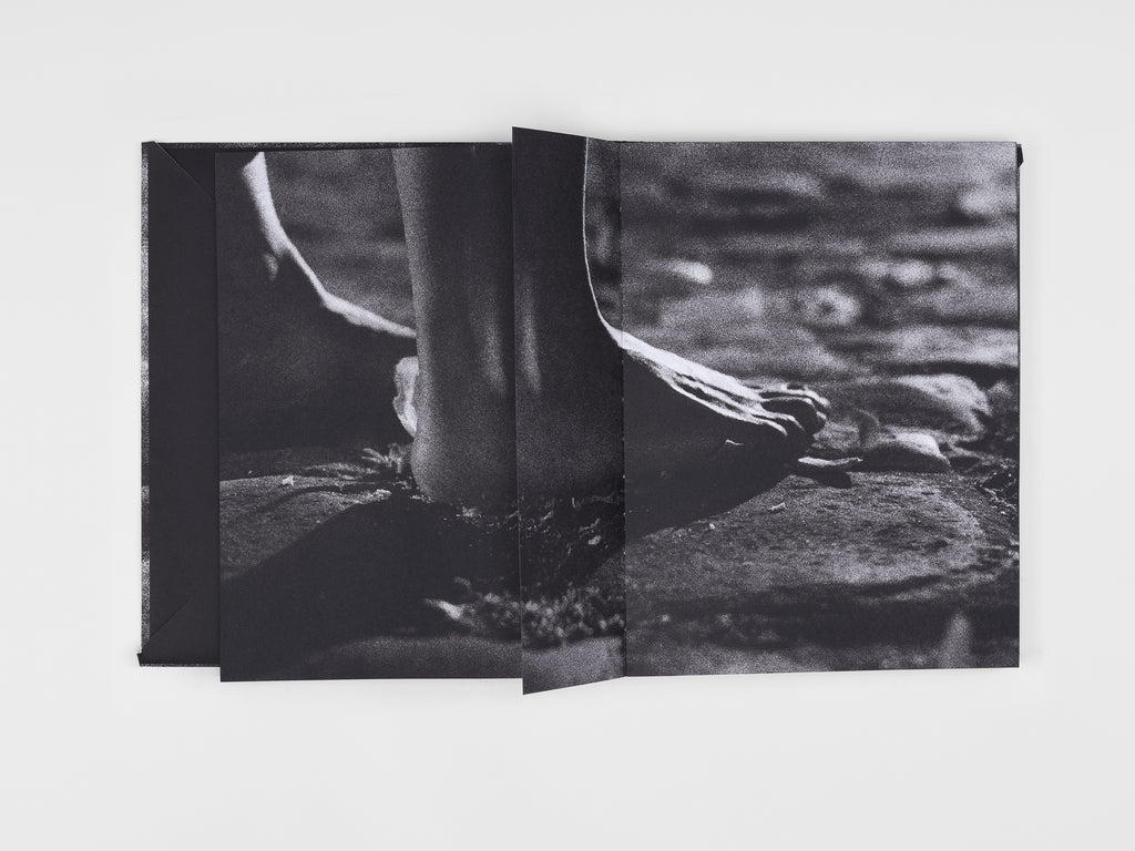 Adel Abdessemed & Adonis - Le livre de AA