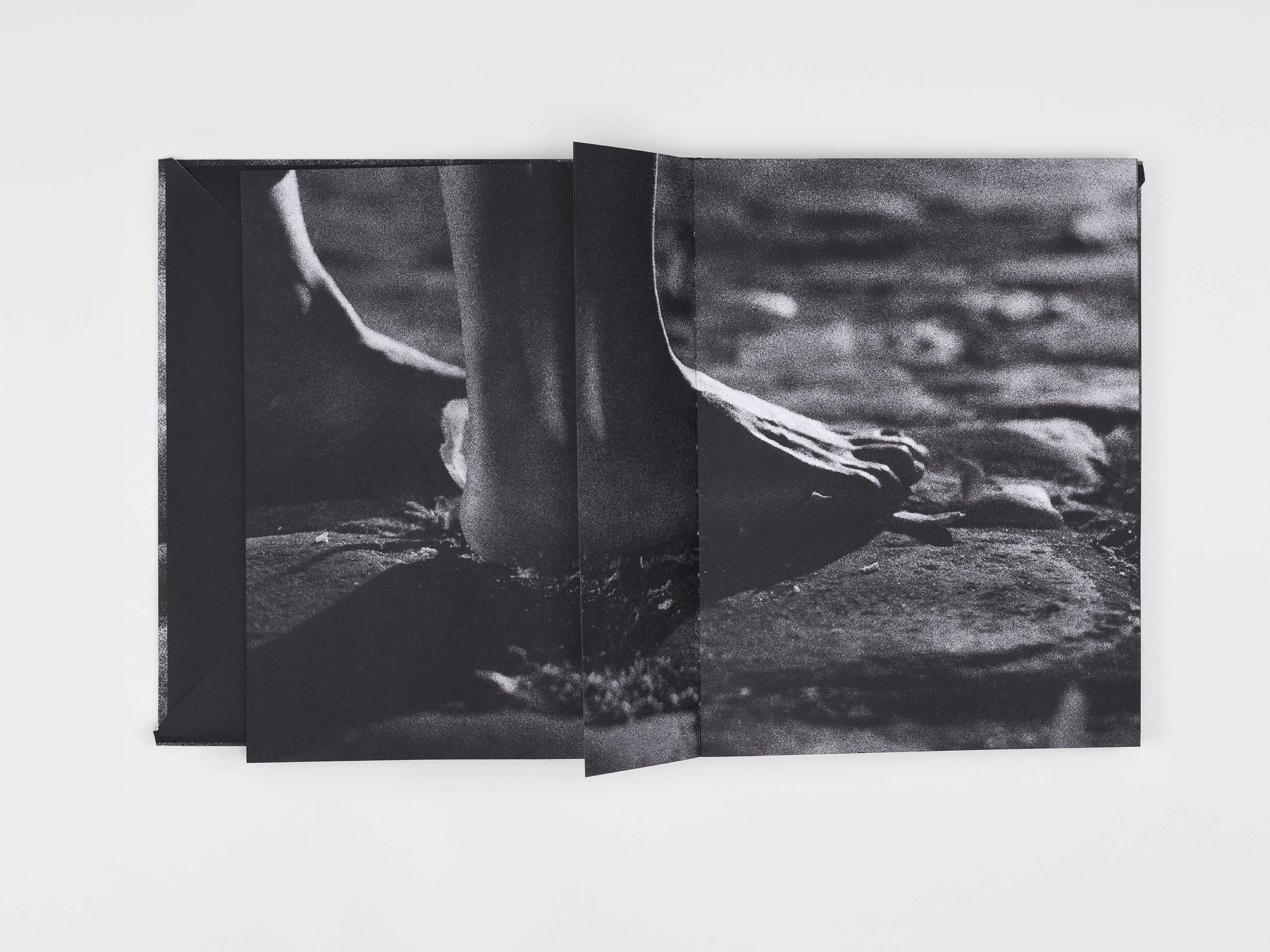 Adel Abdessemed & Adonis - Le livre de AA