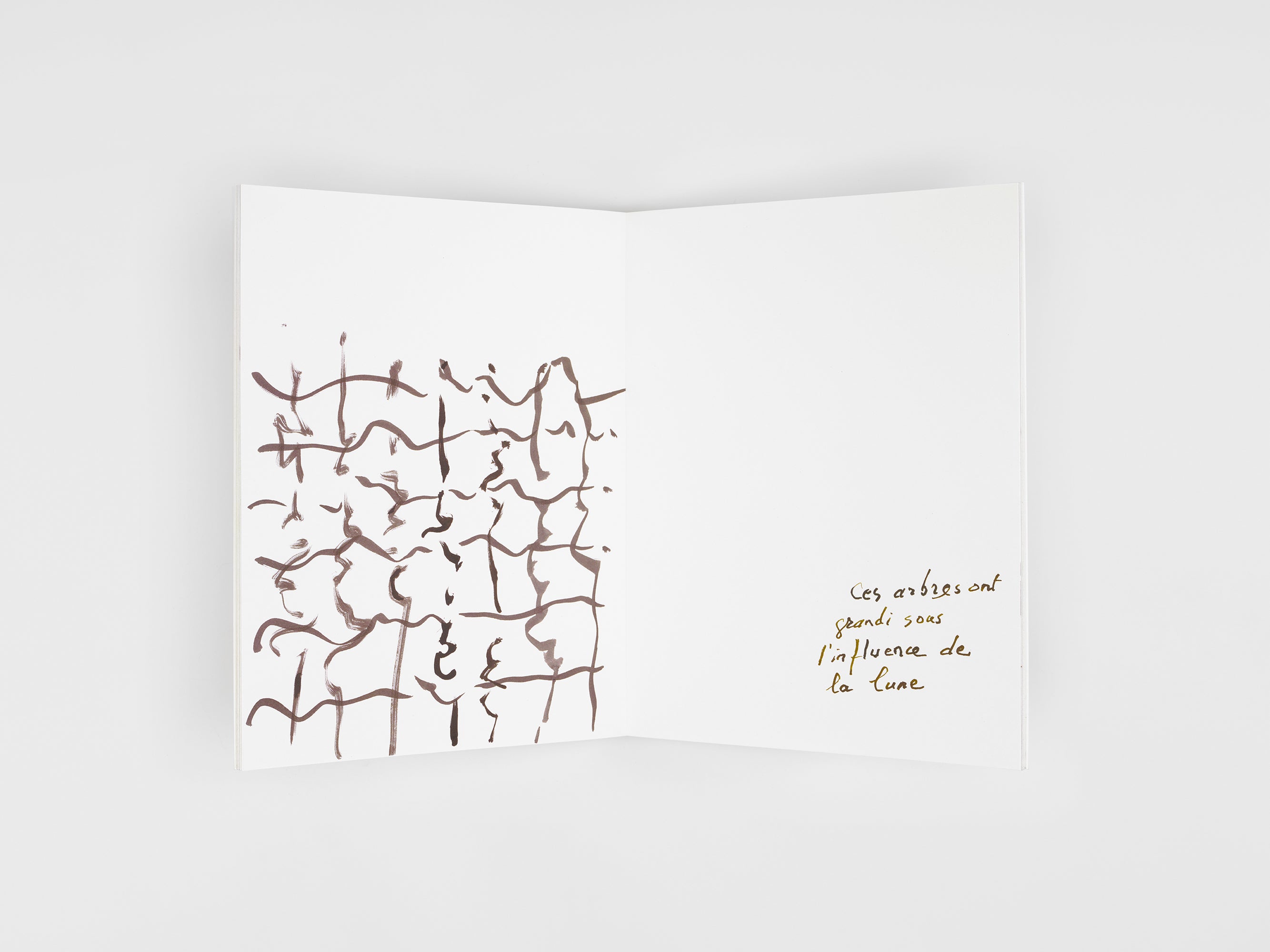 Etel Adnan - Dans la forêt