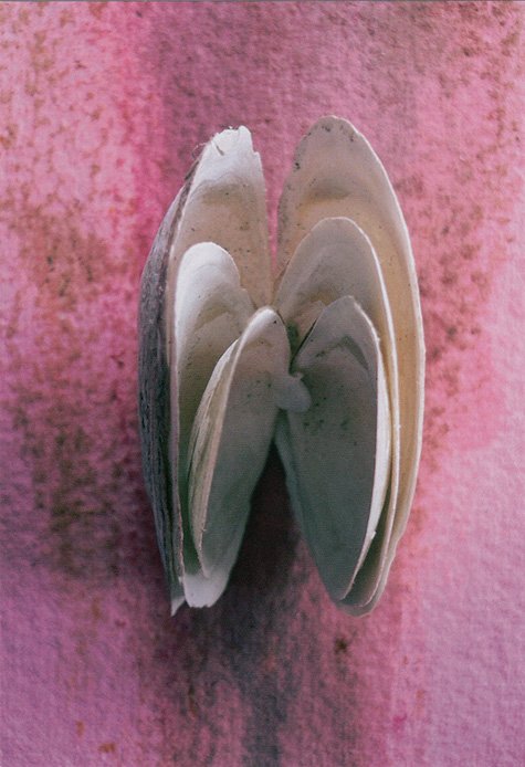 Paul Armand Gette - Deux rencontres insolites (édition limitée)