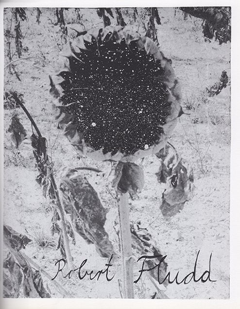 Anselm Kiefer - Cette obscure clarté qui tombe des étoiles