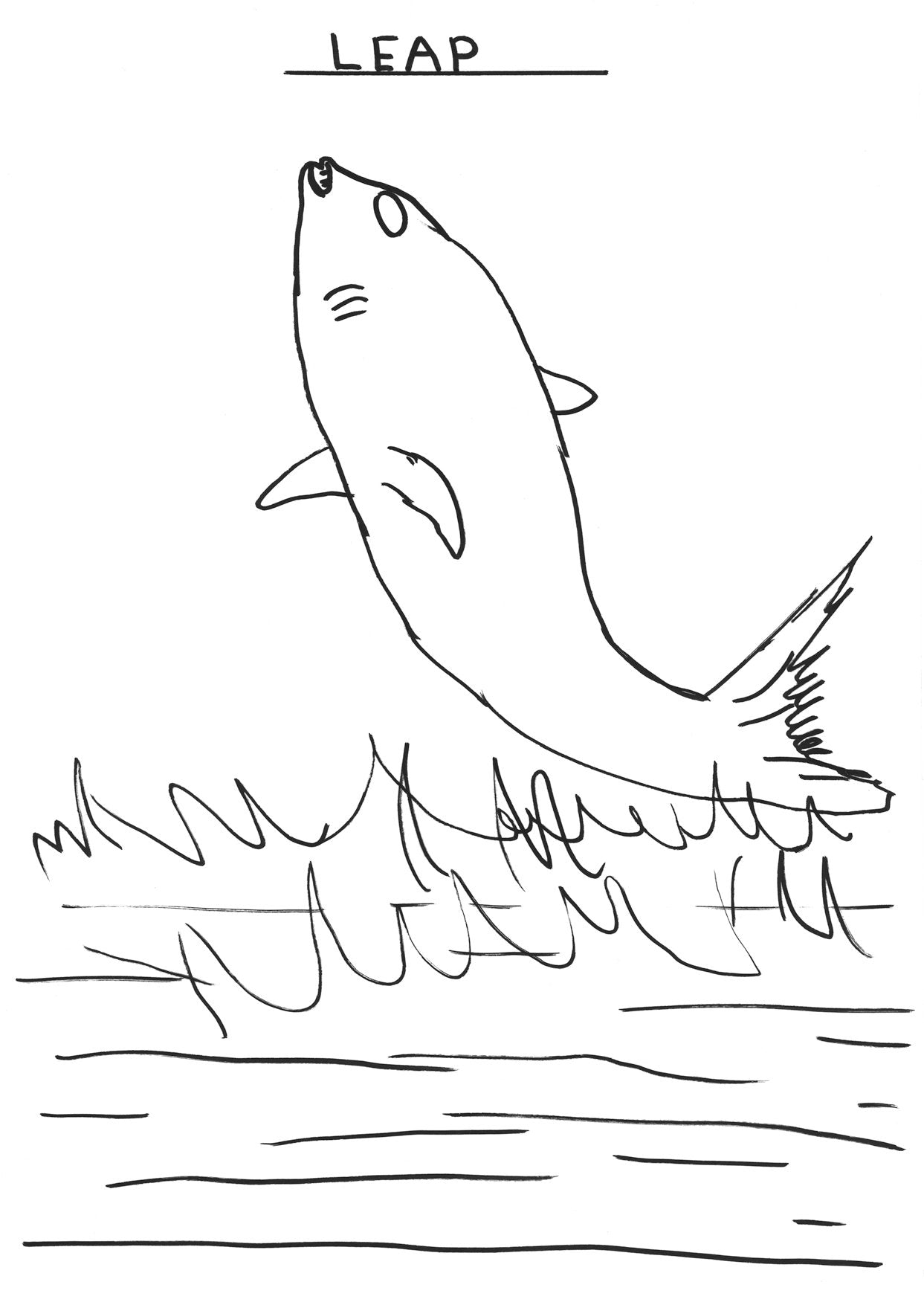 David Shrigley - Original drawings