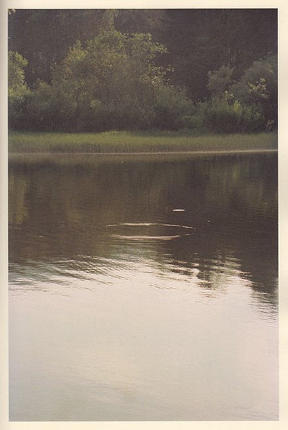 Ola Rindal - Distance (Pictures for an untold story)