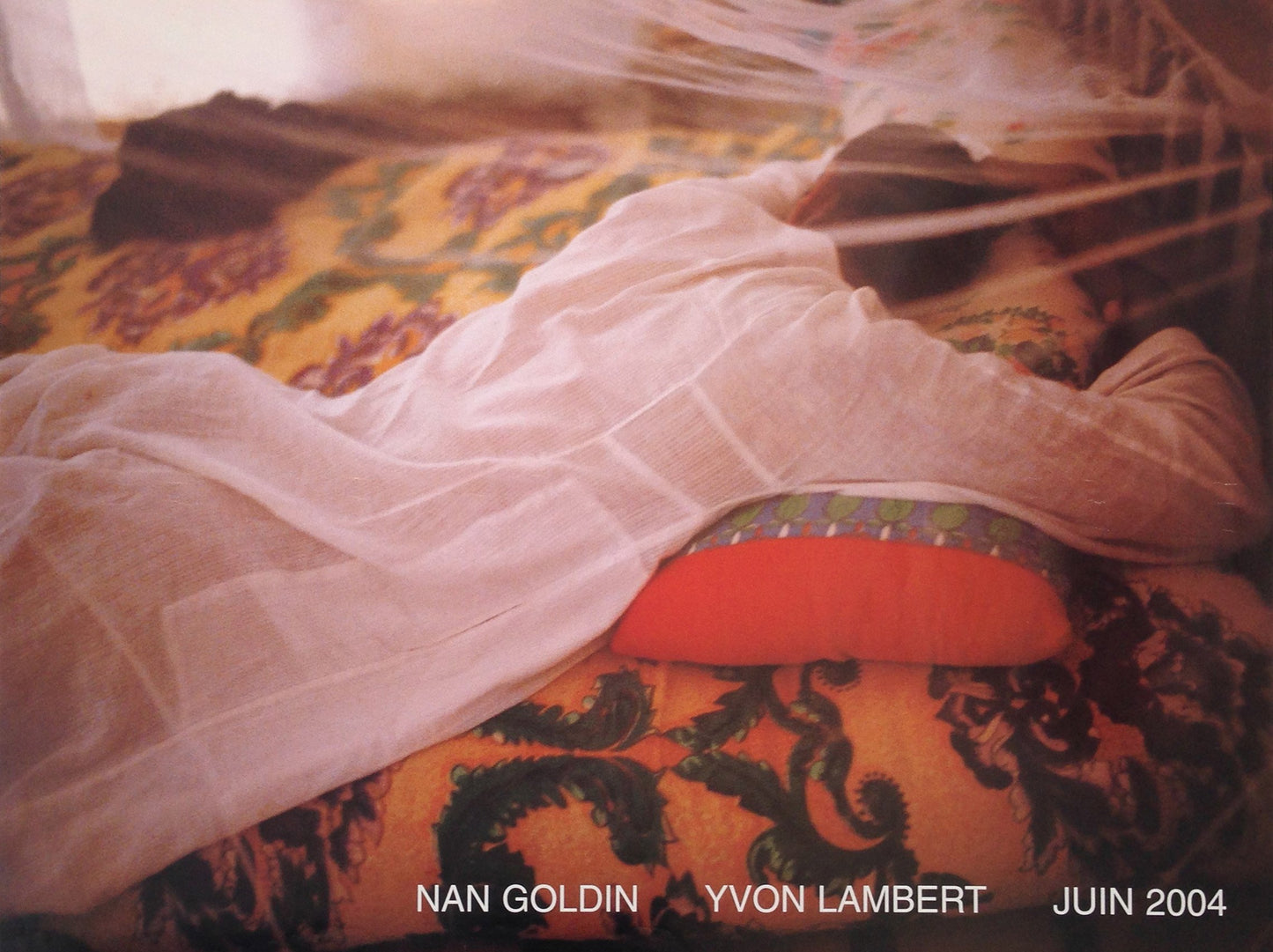 Nan Goldin - Print (2004)