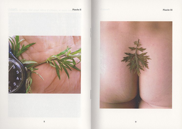 Paul Armand Gette - Divertissements Botaniques