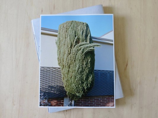 Nicolas Silberfaden - 738