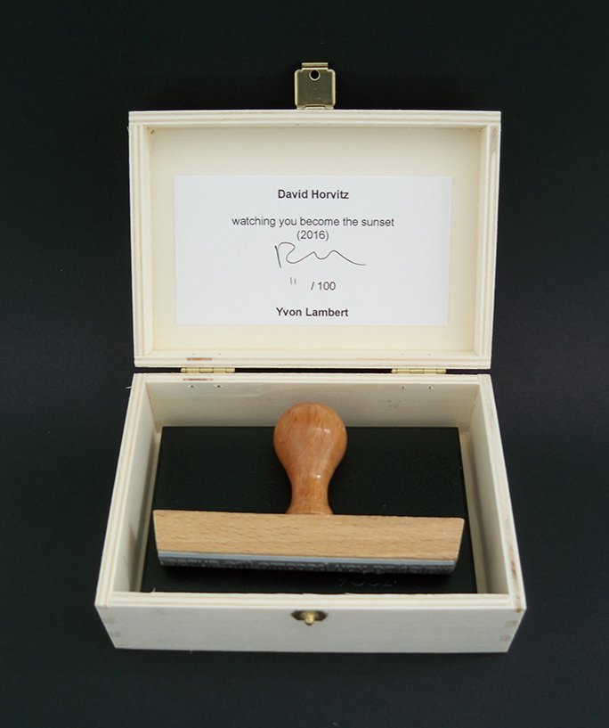 David Horvitz - watching you become the sunset