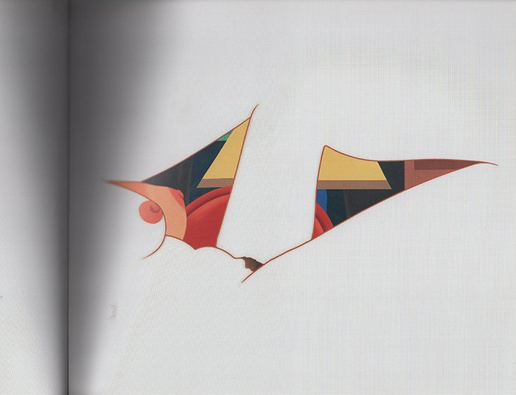 Tom Wesselmann - drop-out