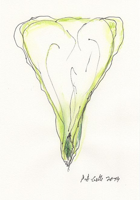 Paul Armand Gette - Divertissements botaniques (édition de tête)