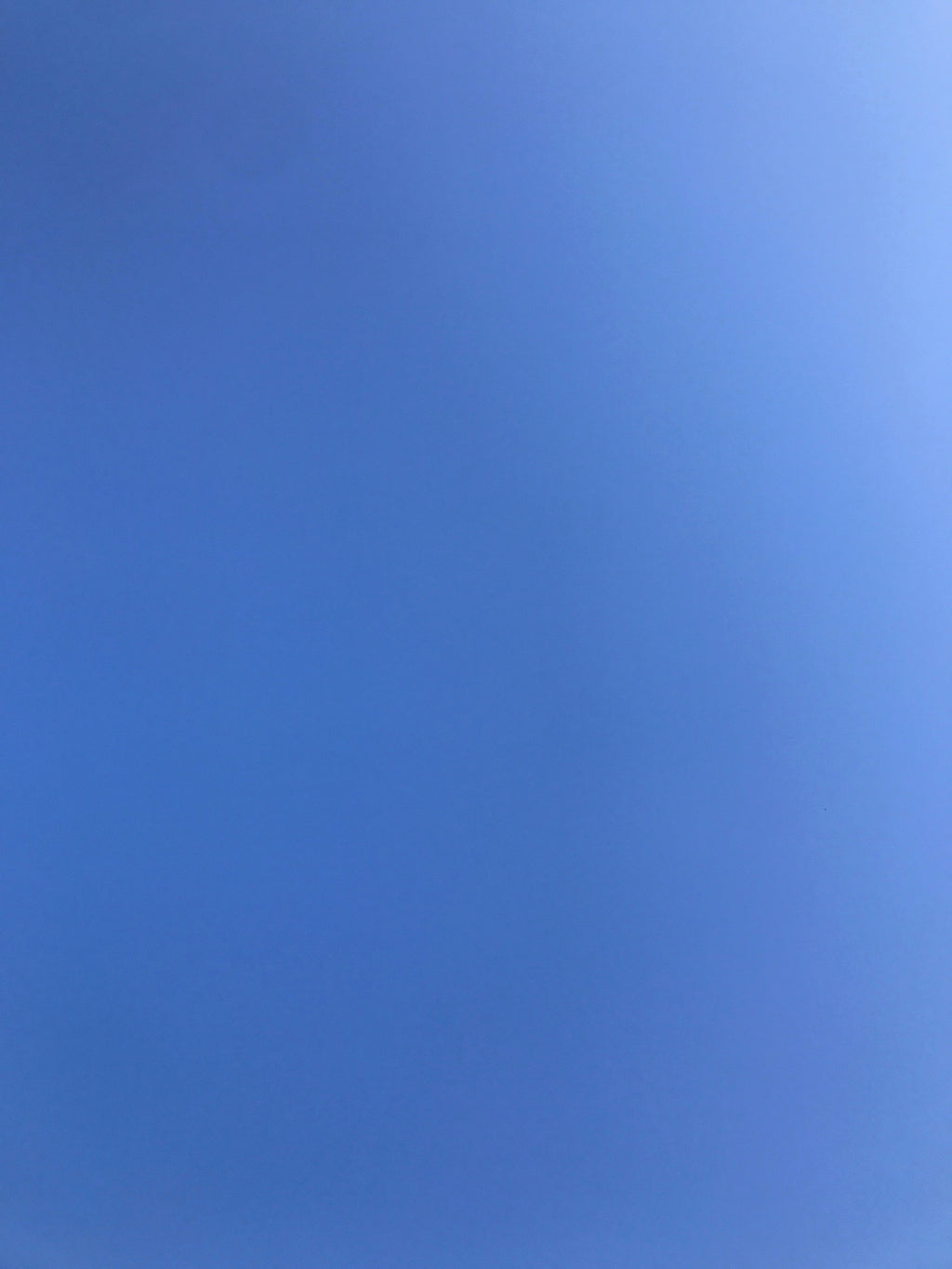 David Horvitz - "Yesterday" - monthly subscription / Abonnement - January 2025