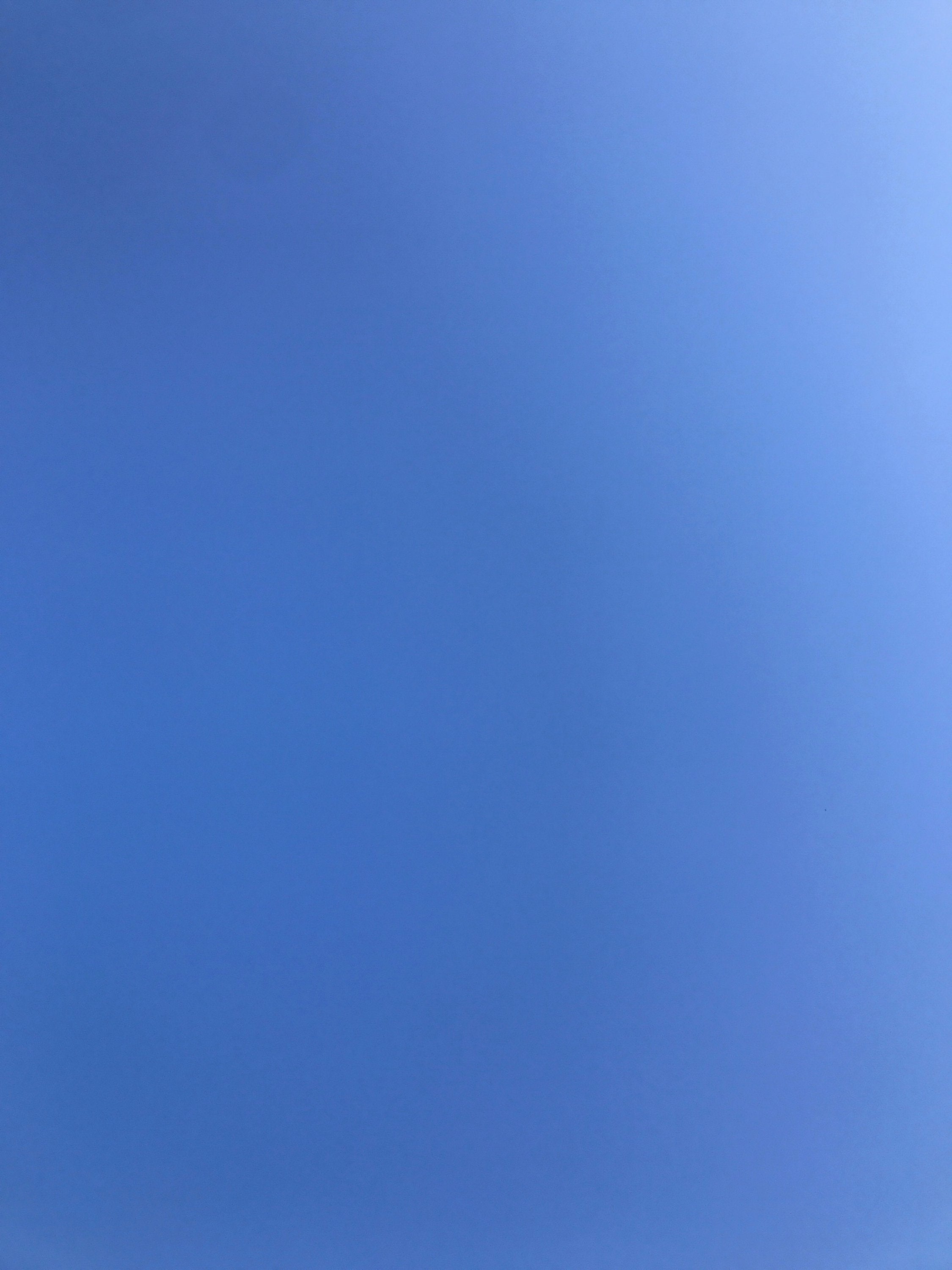 David Horvitz - "Yesterday" - monthly subscription / Abonnement - December 2025