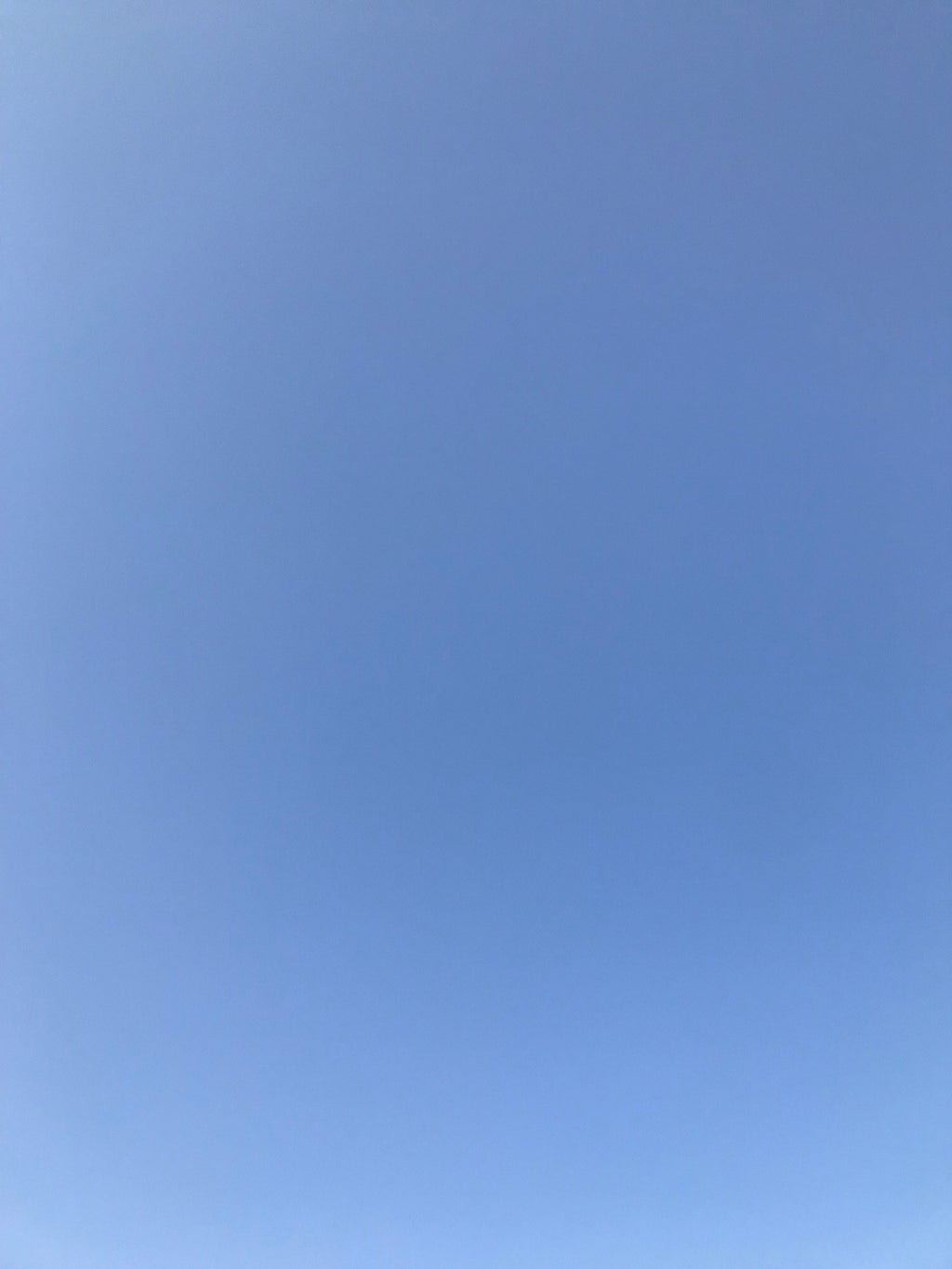 David Horvitz - "Yesterday" - monthly subscription / Abonnement - January 2025