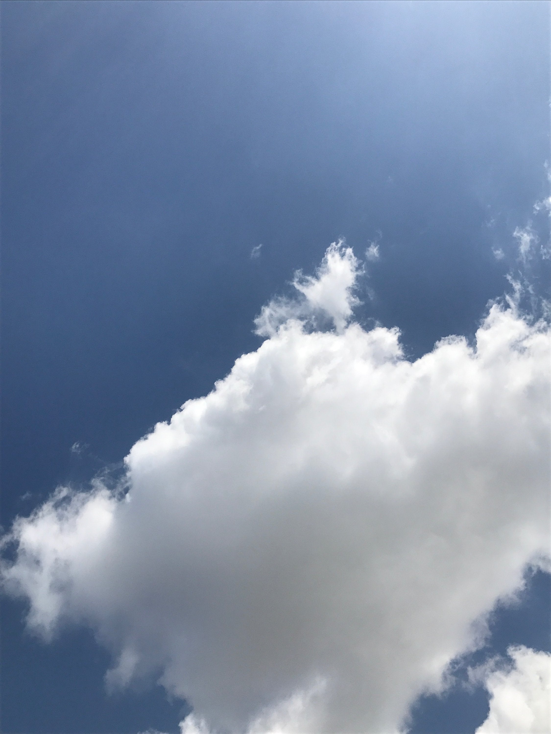 David Horvitz - "Yesterday" - monthly subscription / Abonnement - December 2025