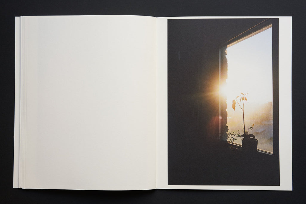 Christian André Strand - Great American Eclipse