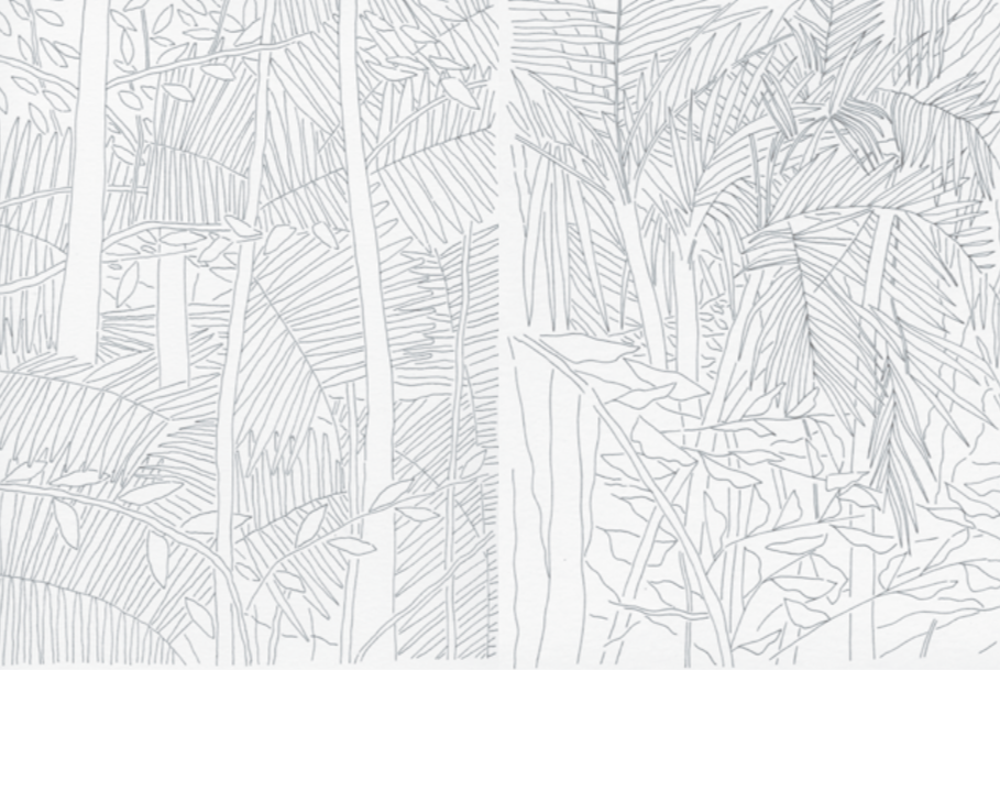 Nigel Peake - SIDES (Book)