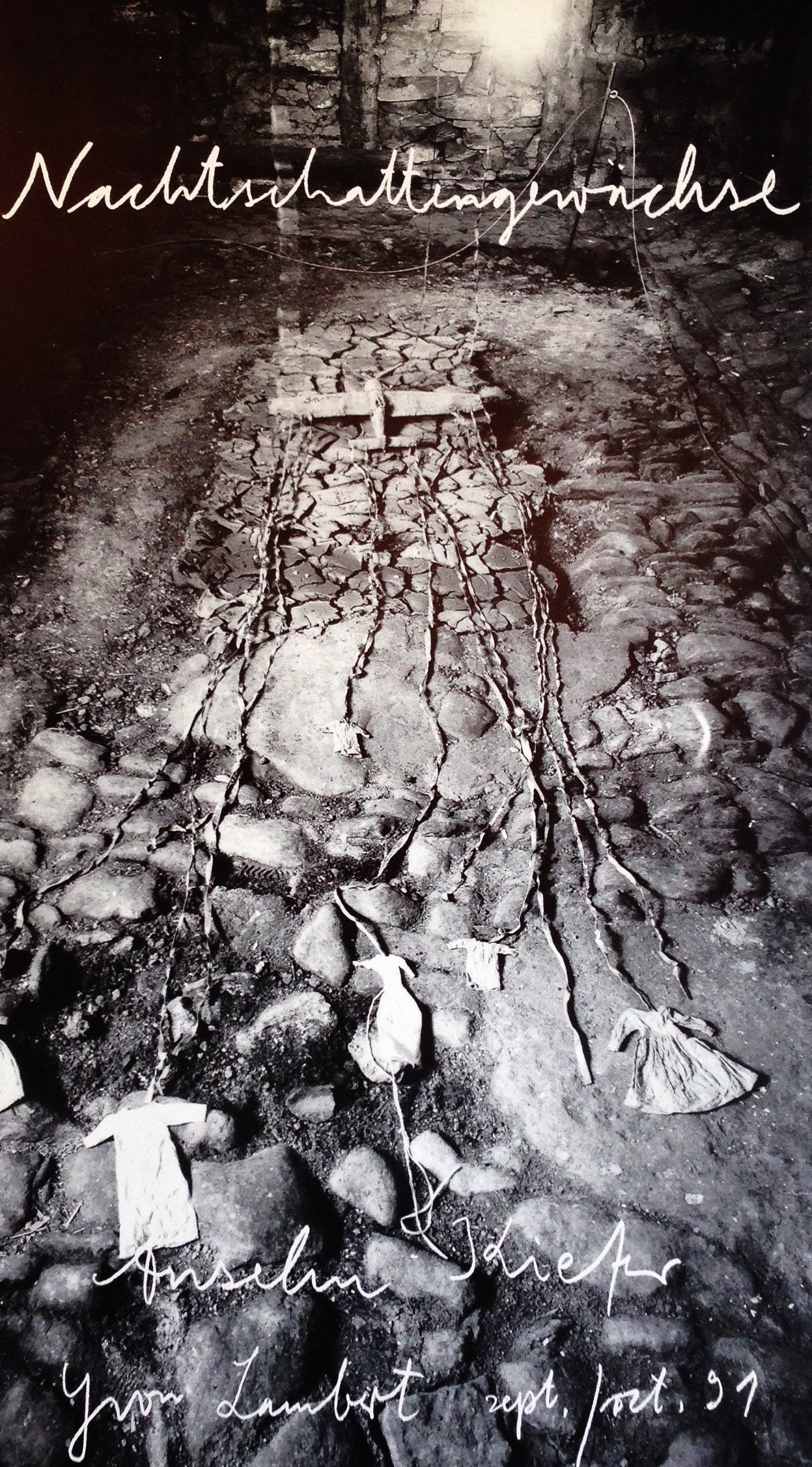 Anselm Kiefer - Nachtschattengewächse (Print)