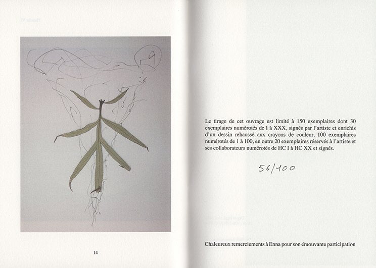 Paul Armand Gette - Divertissements botaniques (édition de tête)