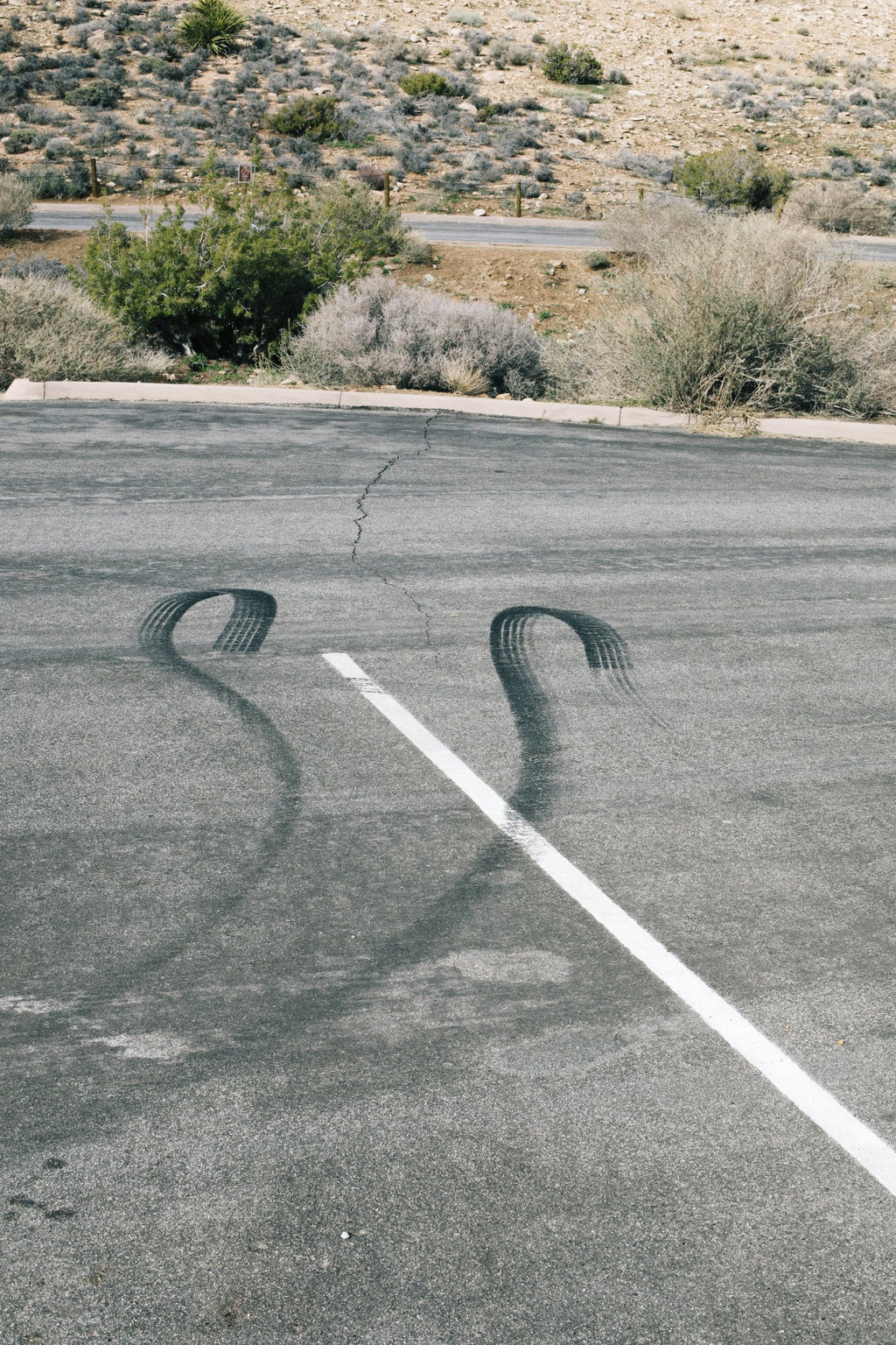 Stefanie Moshammer - Not just your face honey