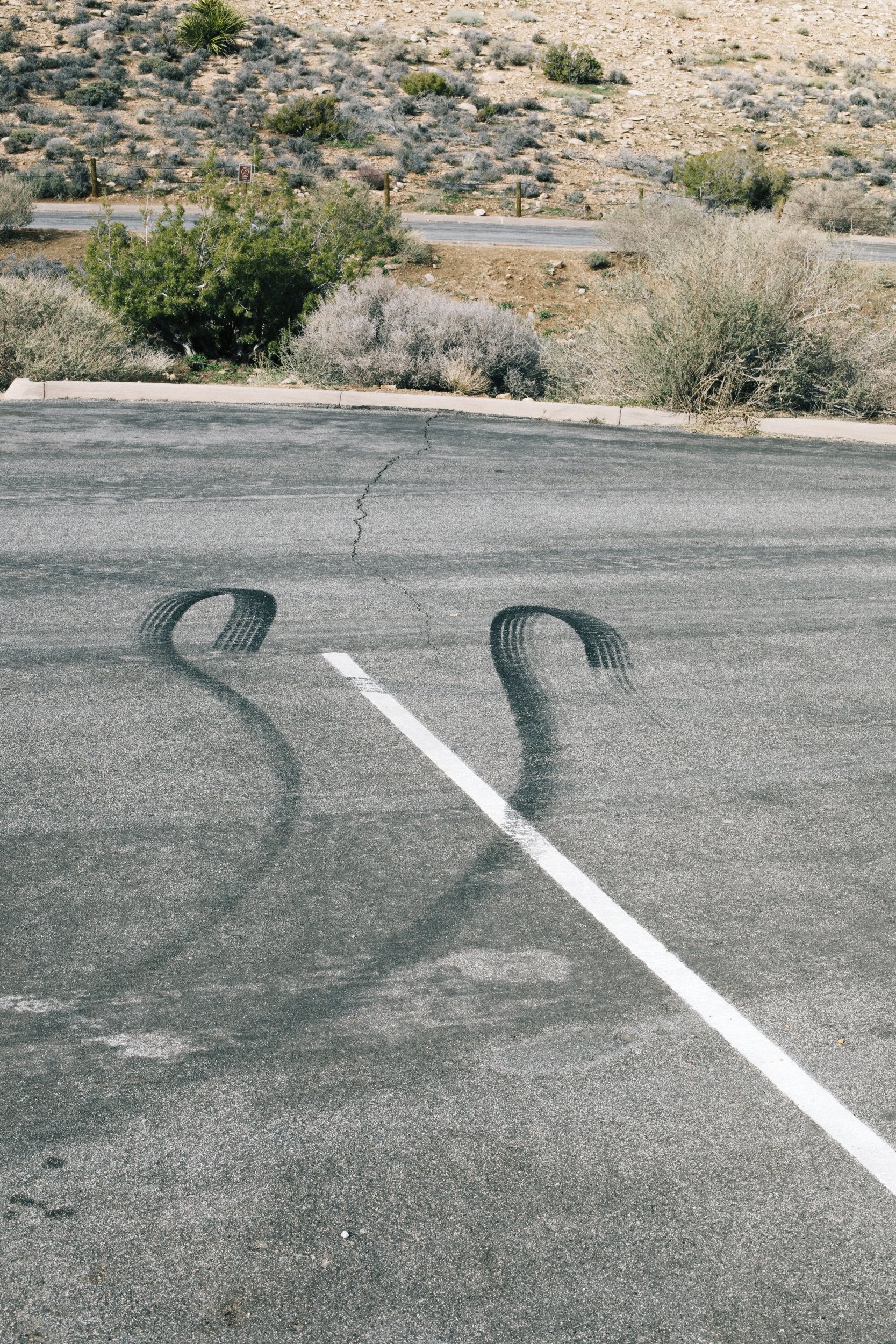 Stefanie Moshammer - Not just your face honey