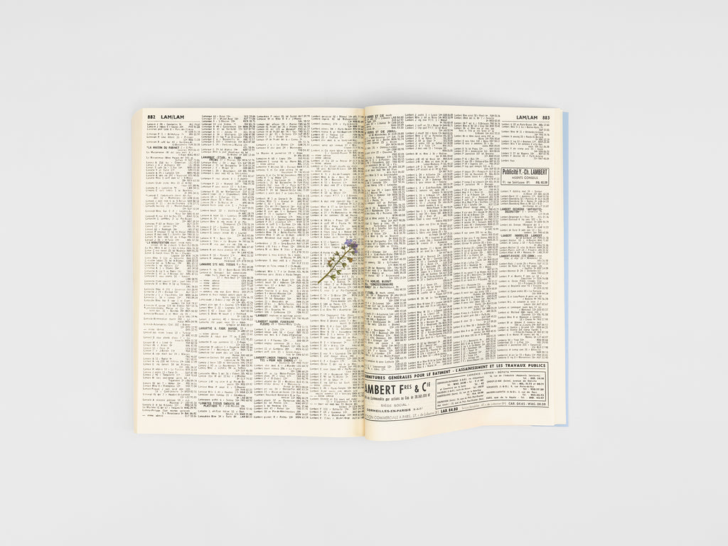 Kris Martin - Myosotis