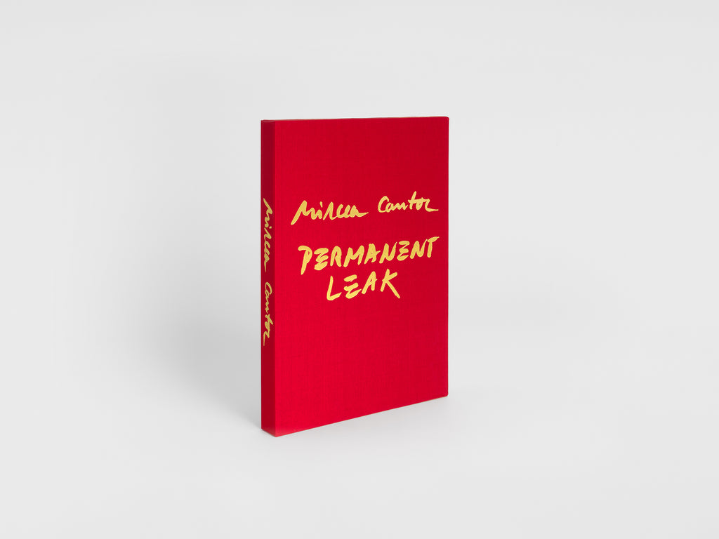 Mircea Cantor - Permanent Leak