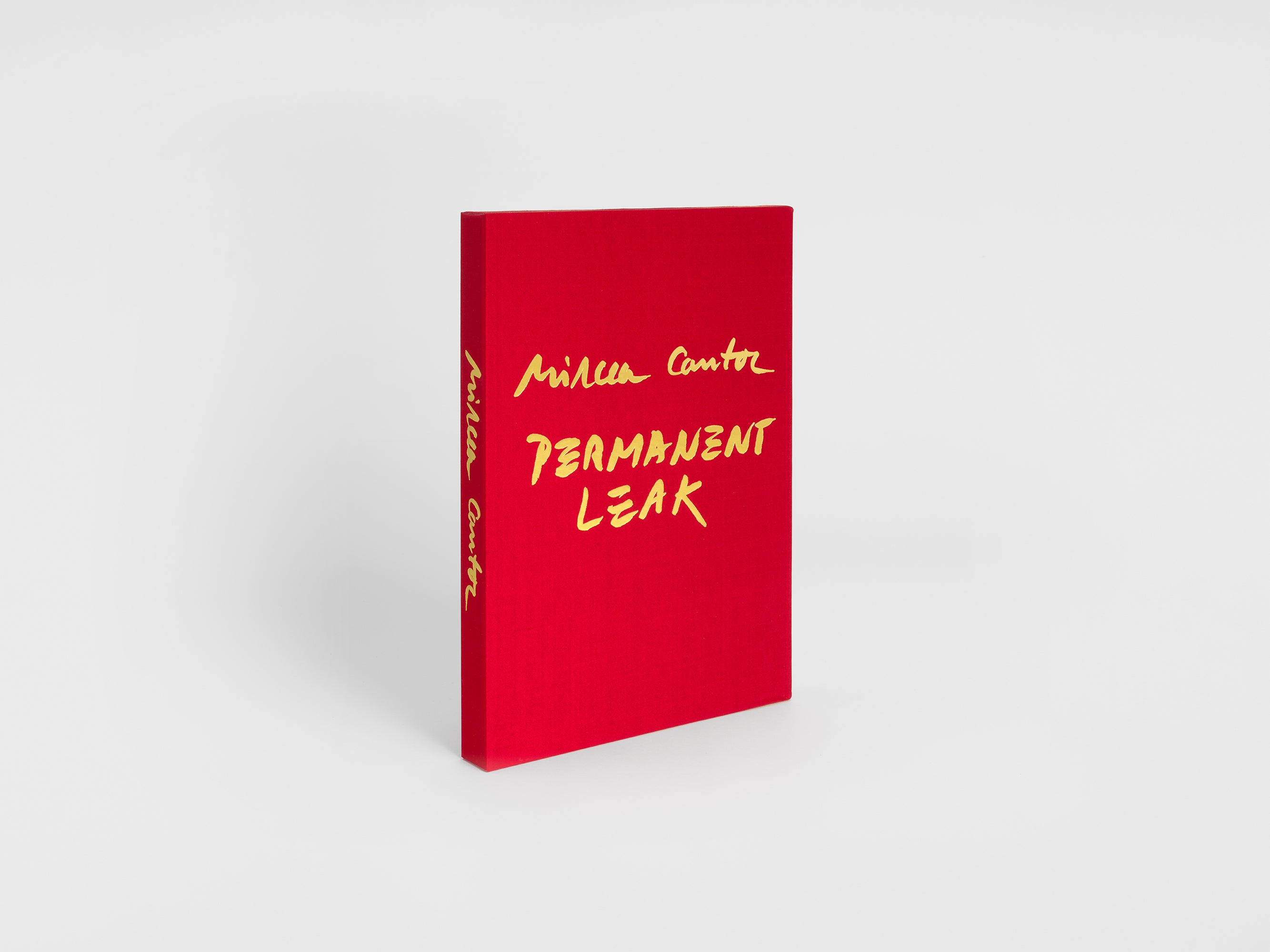 Mircea Cantor - Permanent Leak