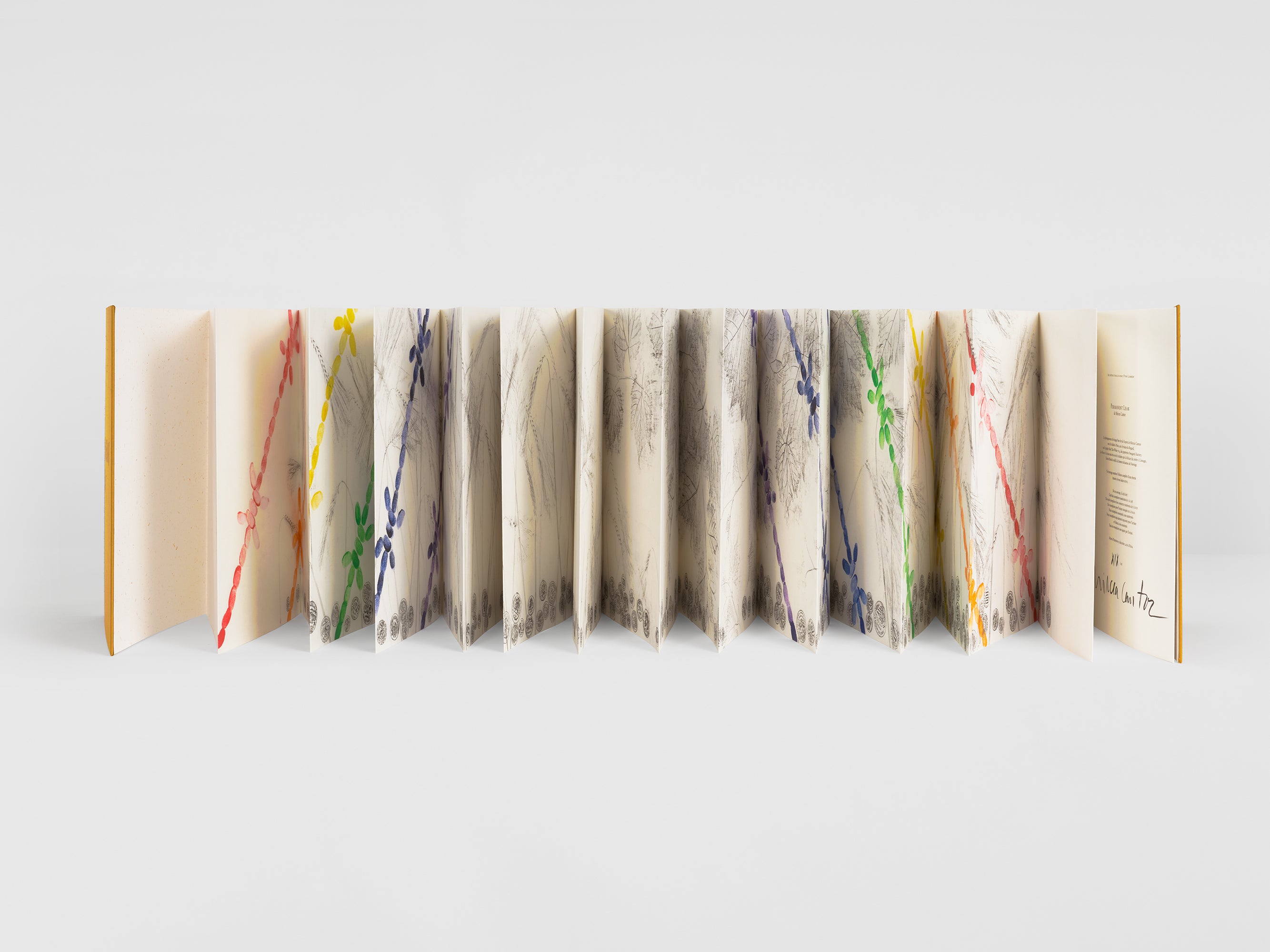 Mircea Cantor - Permanent Leak