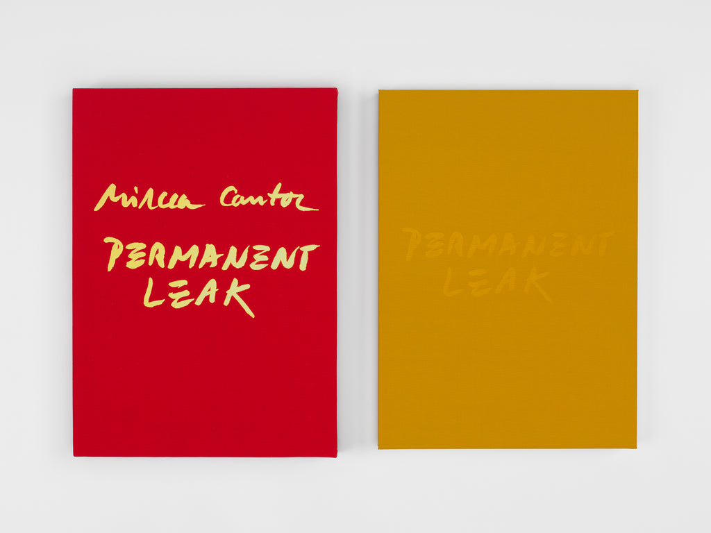 Mircea Cantor - Permanent Leak