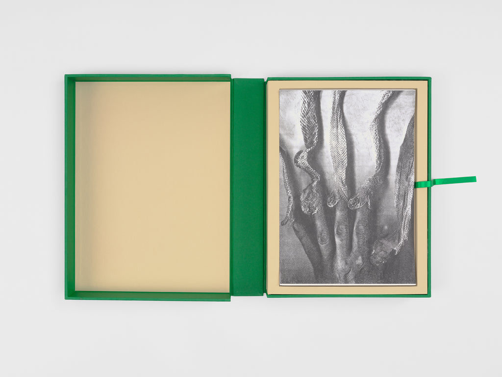 Giuseppe Penone - Mute