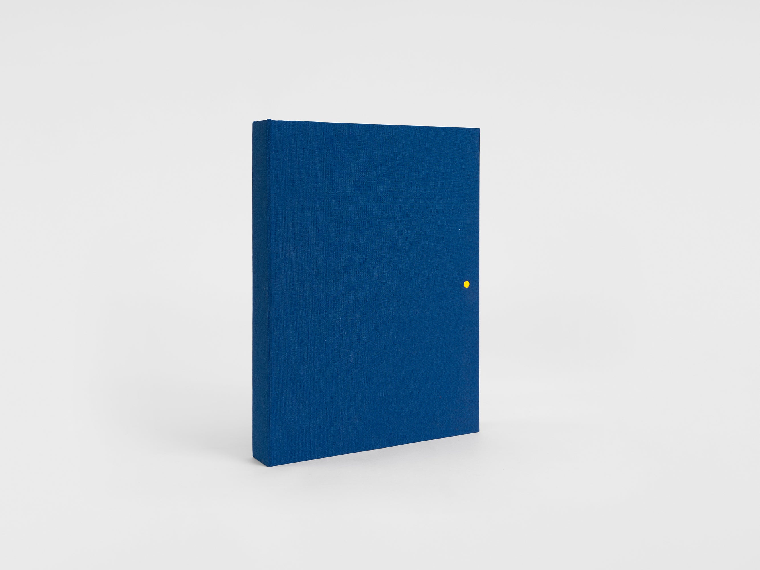 Nathalie Du Pasquier - Ballade des contre-vérités