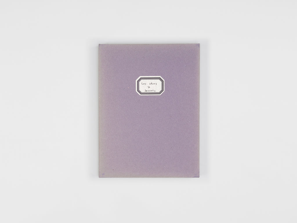 Christian Boltanski & Jean-Claude Lebensztejn - Les mots à secrets