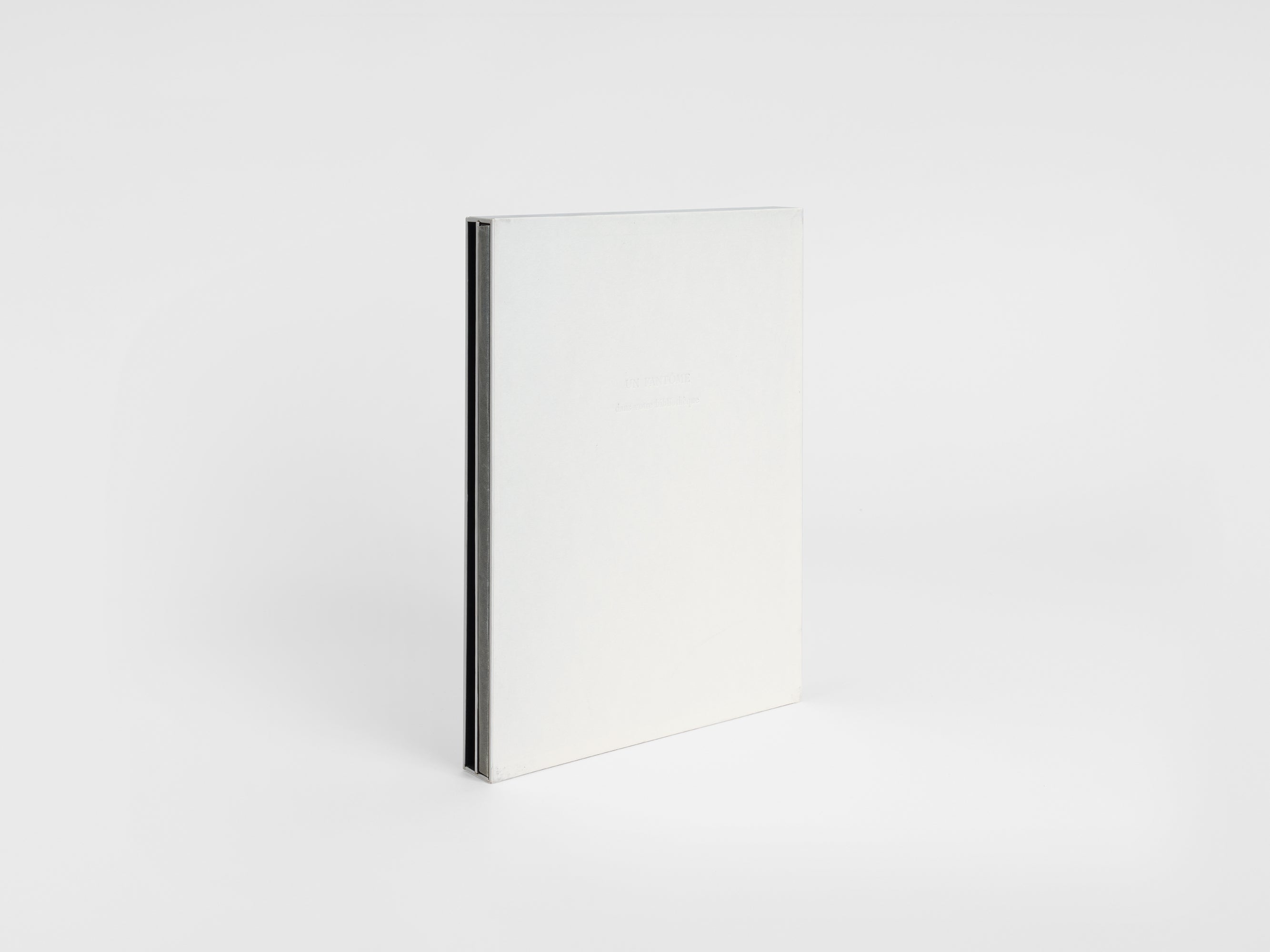 Jean-Michel Othoniel & Jean-Claude Lebensztejn - Un fantôme dans votre bibliothèque