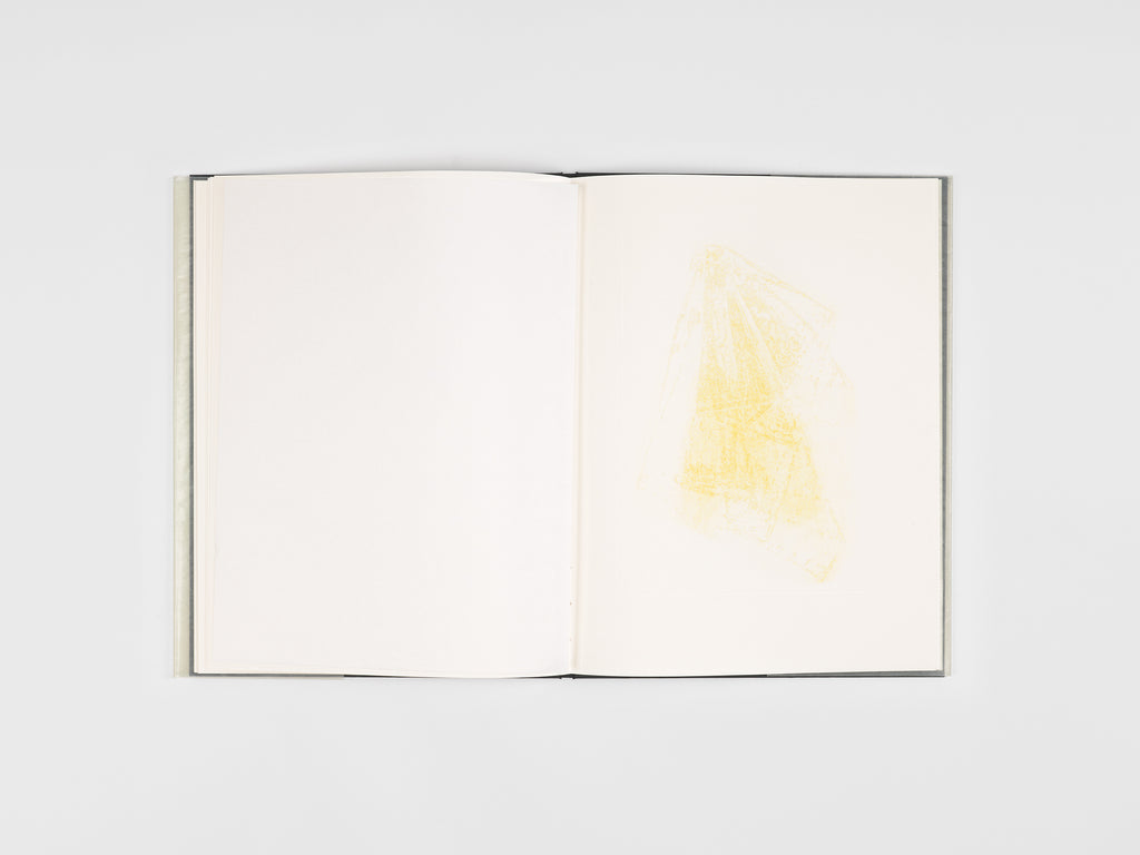 Jean-Michel Othoniel & Jean-Claude Lebensztejn - Un fantôme dans votre bibliothèque