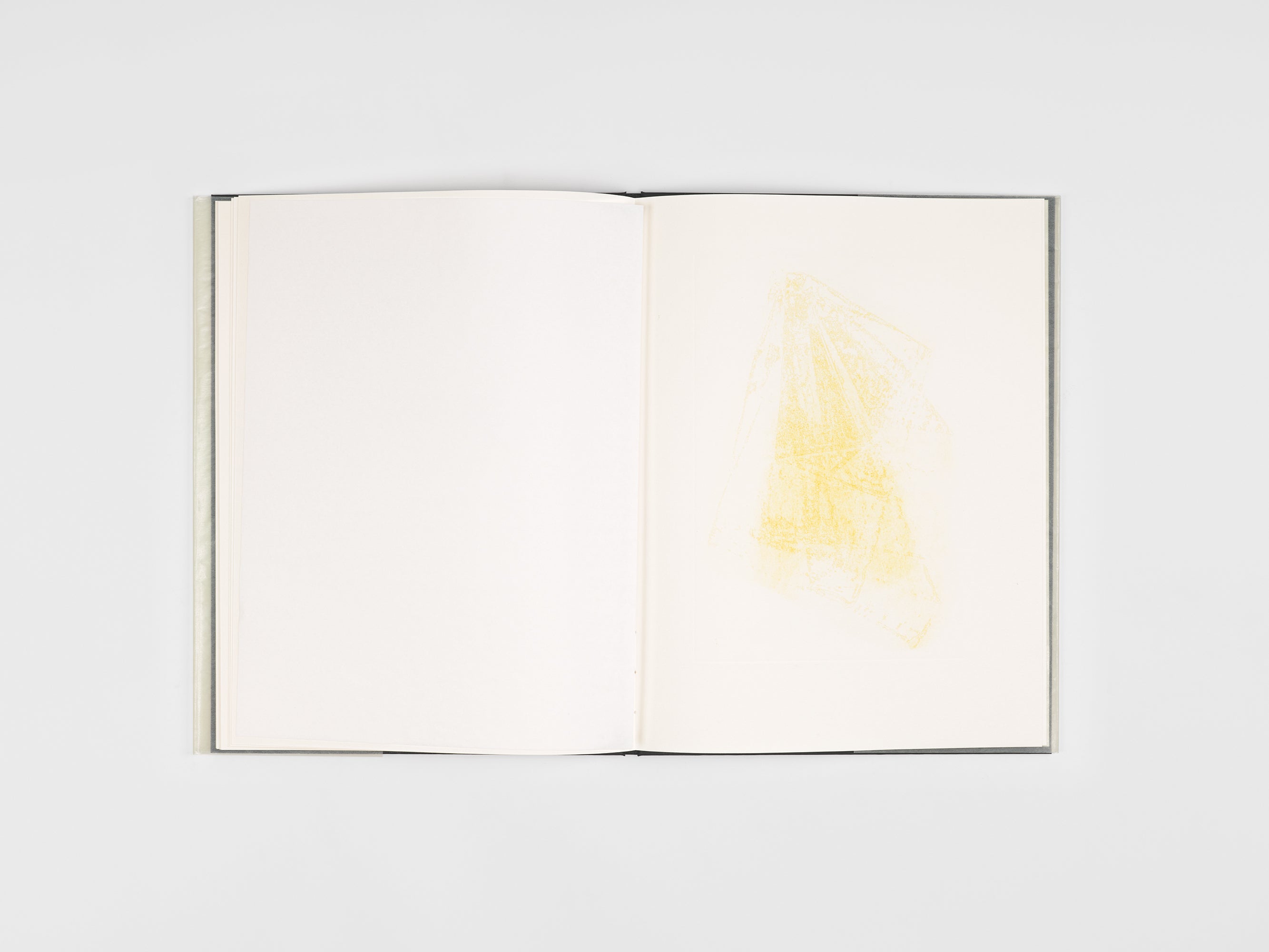 Jean-Michel Othoniel & Jean-Claude Lebensztejn - Un fantôme dans votre bibliothèque