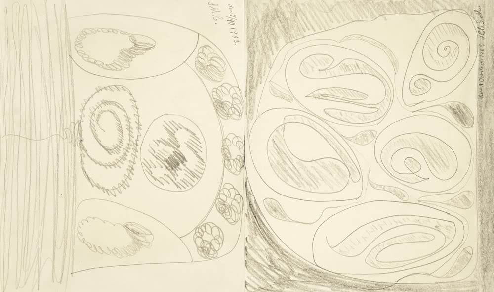 Hilma af Klint and The Five’s Sketchbooks: No. S2, S6 and S13: 5 October 1896-10 January 1906