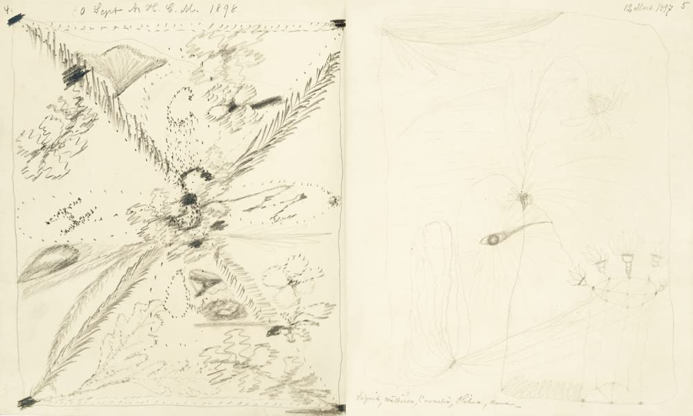 Hilma af Klint and The Five’s Sketchbooks: No. S2, S6 and S13: 5 October 1896-10 January 1906