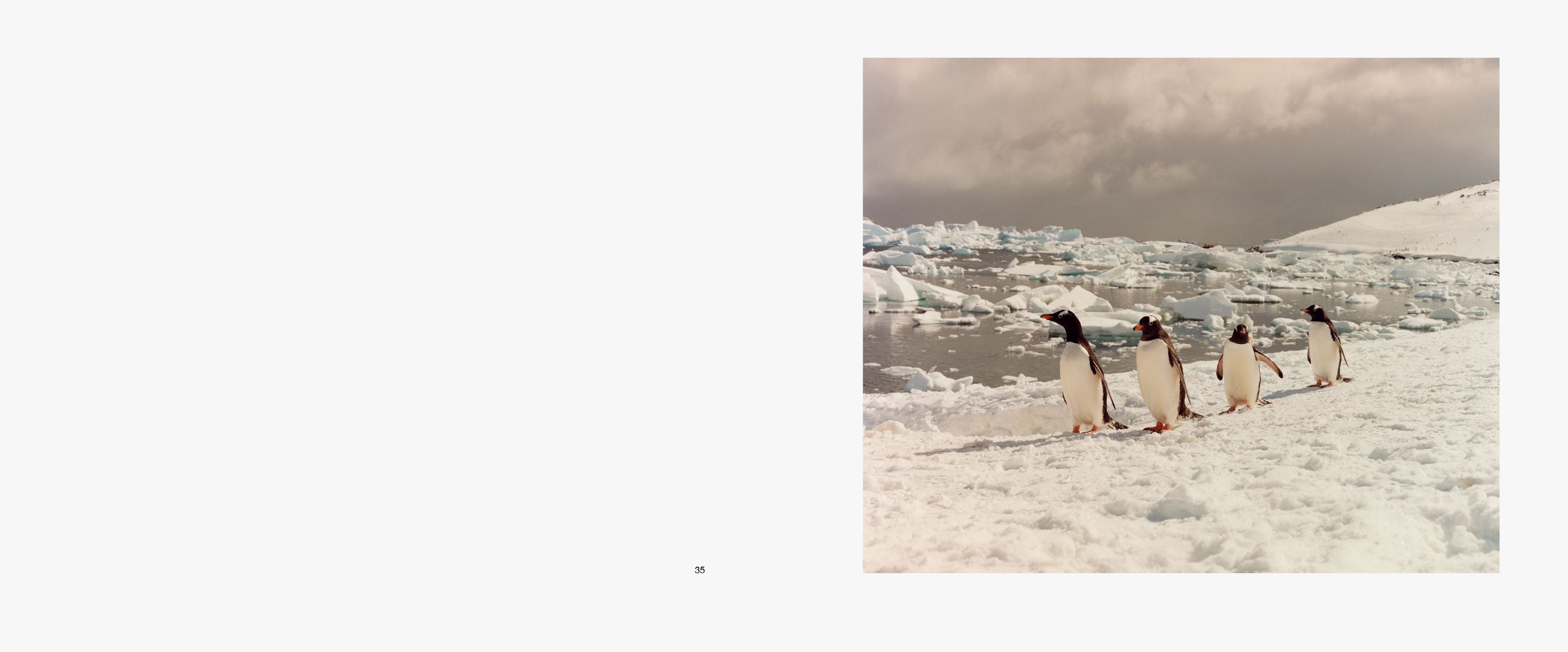 Jamie Hawkesworth - To The Antarctic (Signed / Signé)