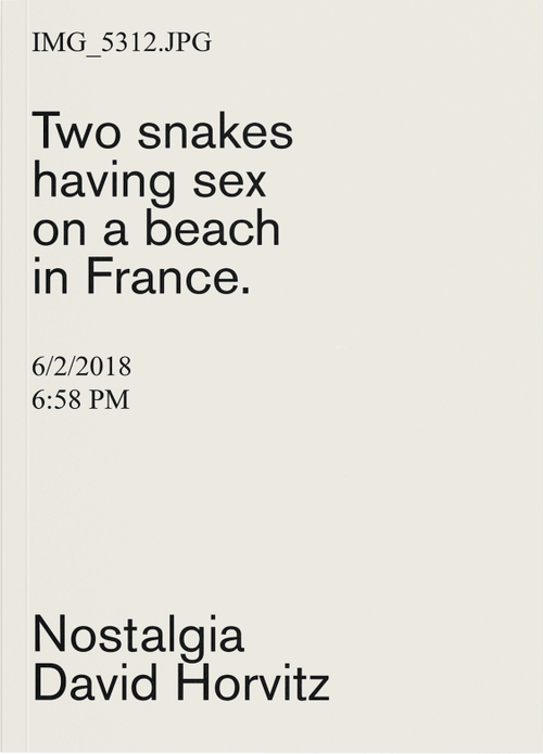 David Horvitz - Nostalgia (2021)