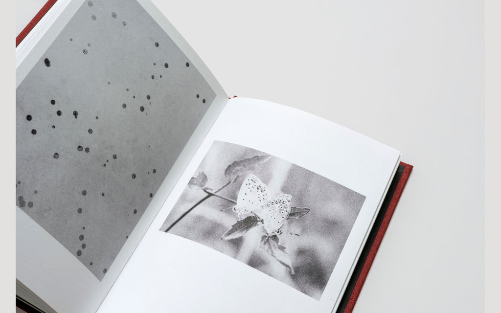 MUT 2 - Jochen Lempert - Two Poems, Seven Pairs