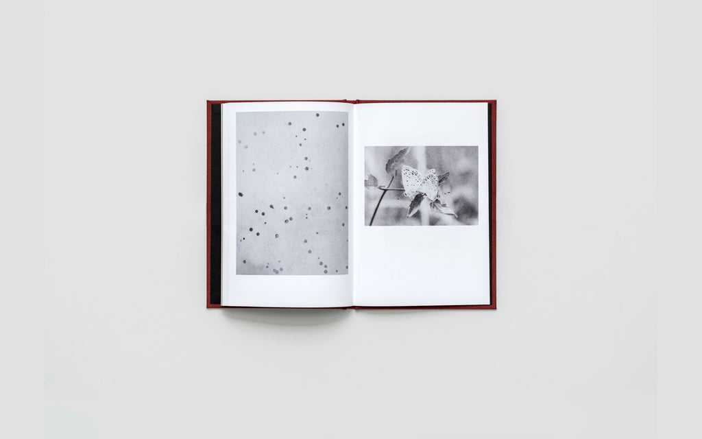 MUT 2 - Jochen Lempert - Two Poems, Seven Pairs